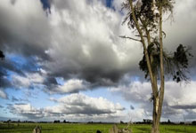 新超：淡滨尼流浪队3比0轻取芽笼国际队.