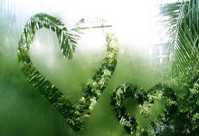 壹号娱乐：范志毅：很多沙特国脚在本国联赛出场机会不多，可能体能存在问题.