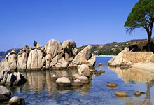 “江苏省全民健身：推动科学健身指导服务，培训社会体育指导员”.